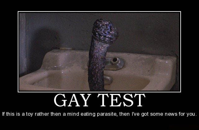Demotivational Posters Test If You’re Gay