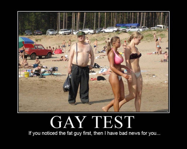 Demotivational Posters Test If You’re Gay