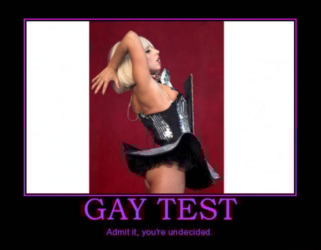 Demotivational Posters Test If You’re Gay