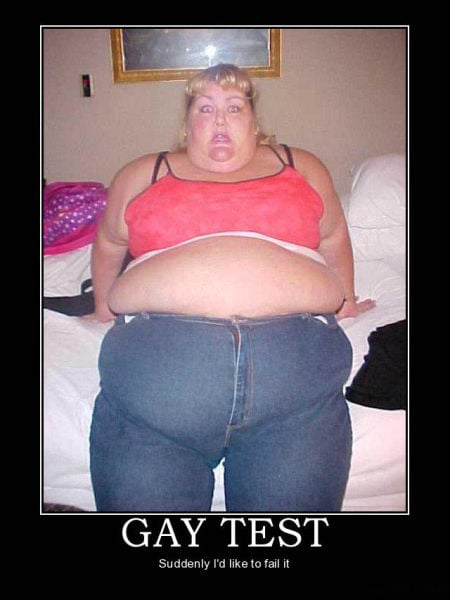 Demotivational Posters Test If You’re Gay