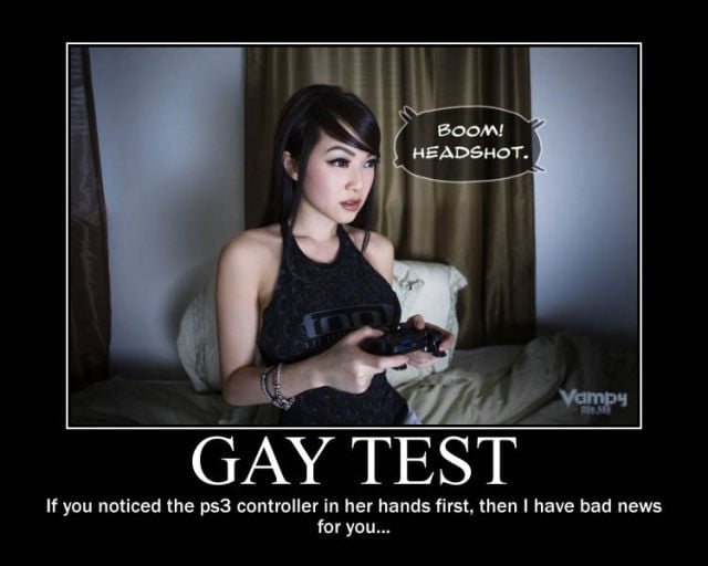 Demotivational Posters Test If You’re Gay
