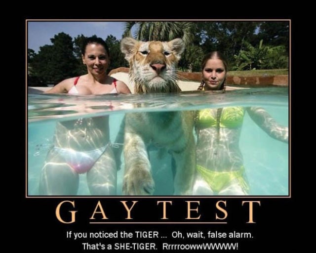 Demotivational Posters Test If You’re Gay
