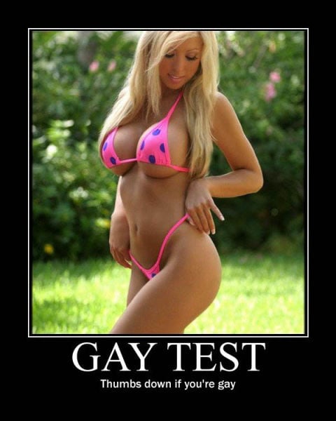 Demotivational Posters Test If You’re Gay