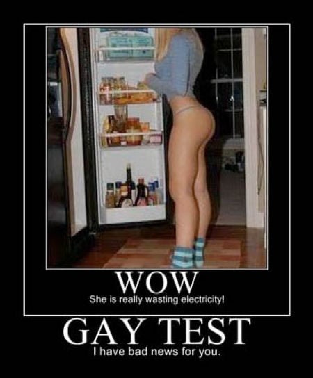 Demotivational Posters Test If You’re Gay
