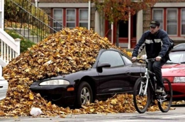 morning picdump 74 pics 34.html - 74 HD Photos | Premium Gallery 2011