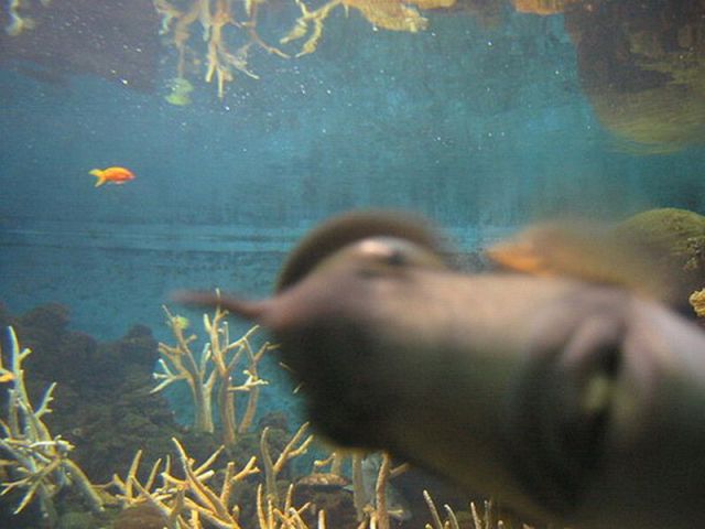 morning picdump 74 pics 34.html - 74 HD Photos | Premium Gallery 2011