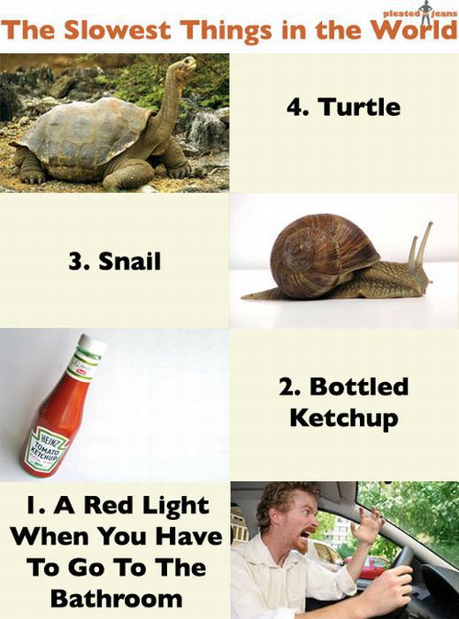 morning picdump 74 pics 34.html - 74 HD Photos | Premium Gallery 2011