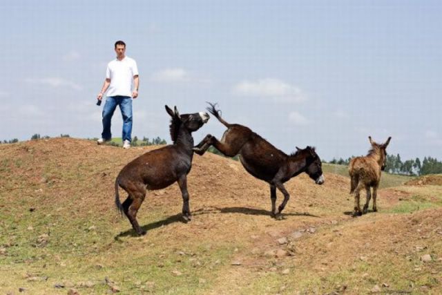 morning picdump 61 pics 3.html - 61 HD Photos | Premium Gallery 2011