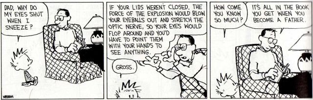 morning picdump 61 pics 3.html - 61 HD Photos | Premium Gallery 2011