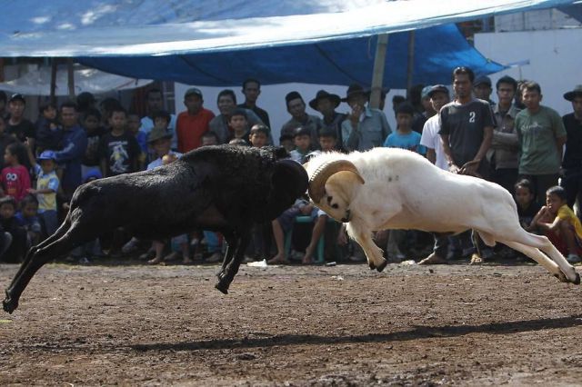 morning picdump 61 pics 3.html - 61 HD Photos | Premium Gallery 2011