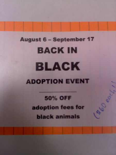 morning picdump 61 pics 3.html - 61 HD Photos | Premium Gallery 2011