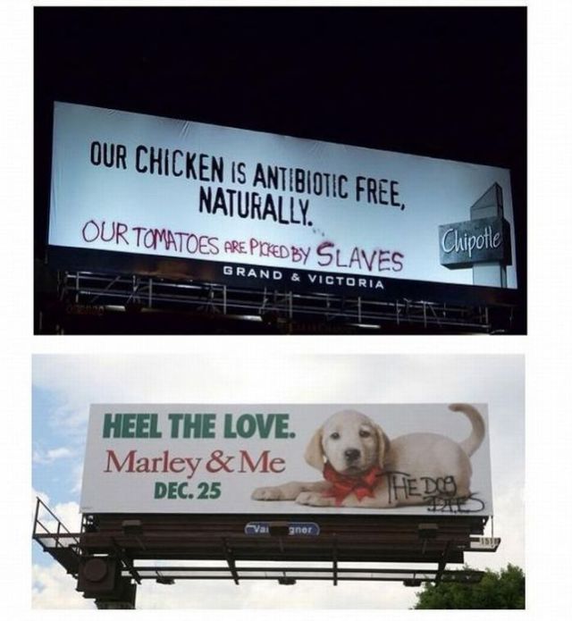 morning picdump 61 pics 3.html - 61 HD Photos | Premium Gallery 2011