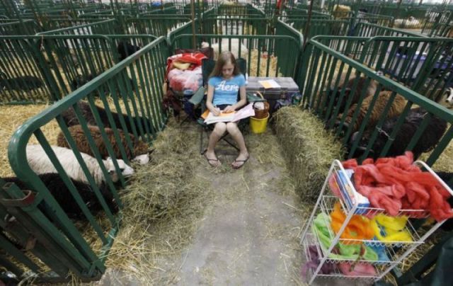 morning picdump 54 pics 1.html - 54 HD Photos | Premium Gallery 2011