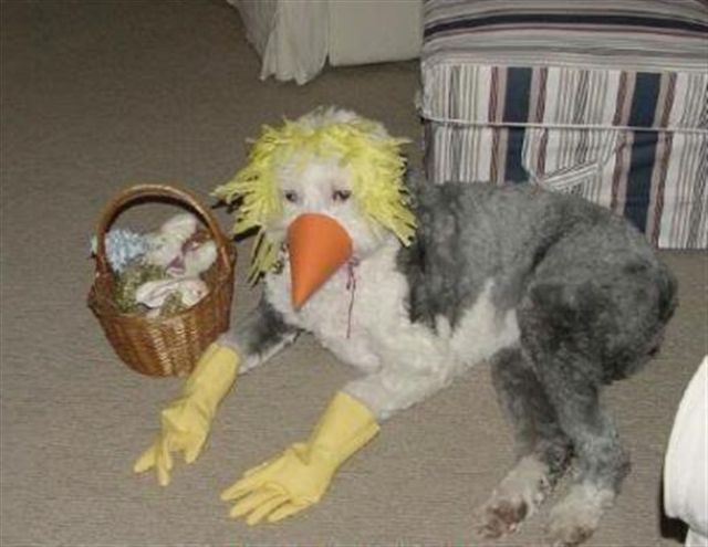 Morning Picdump