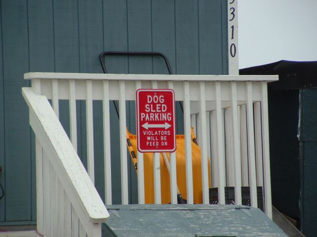 morning picdump 60 pics 13.html - 60 HD Photos | Premium Gallery 2011