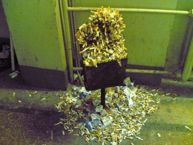 Morning Picdump
