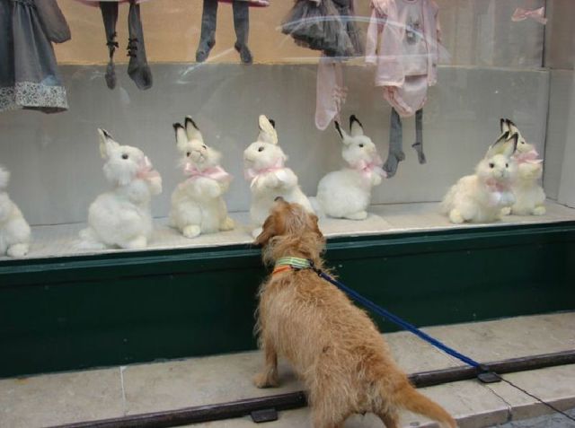 morning picdump 62 pics 16.html - 62 HD Photos | Premium Gallery 2011