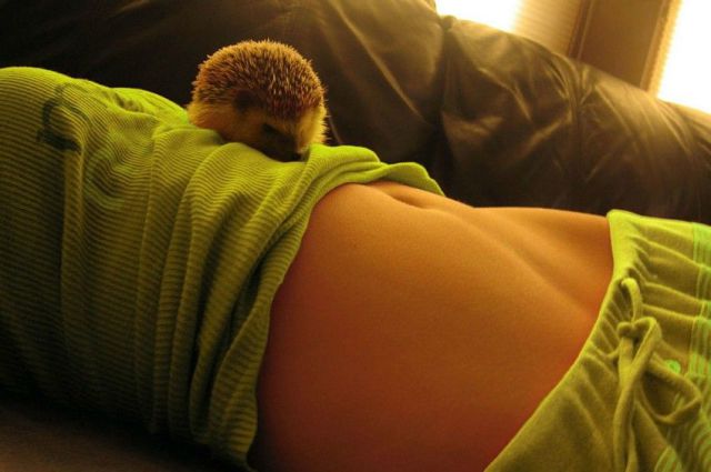 morning picdump 62 pics 16.html - 62 HD Photos | Premium Gallery 2011