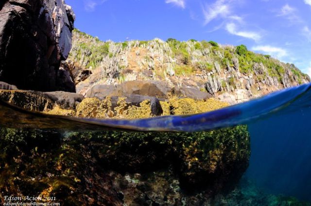 morning picdump 58 pics 25.html - 58 HD Photos | Premium Gallery 2011