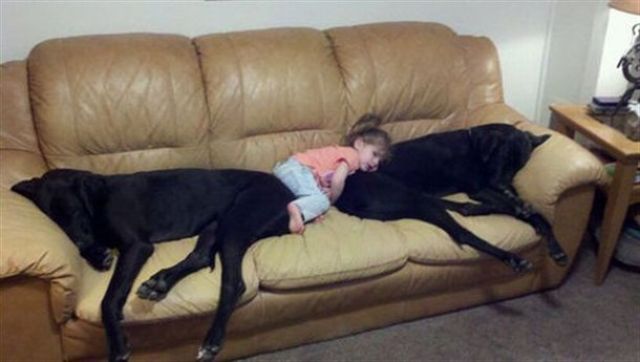 Daily Picdump