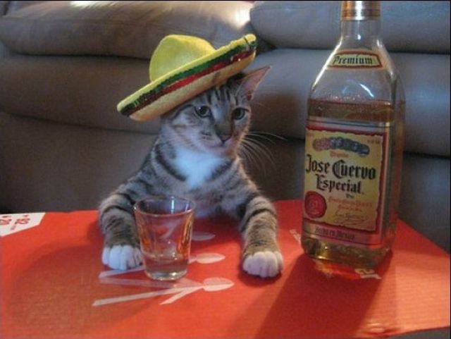 Daily Picdump