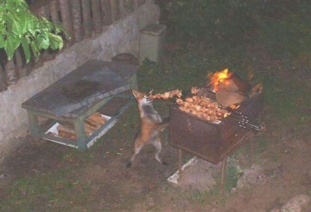 daily picdump 95 pics 24.html - 95 HD Photos | Premium Gallery 2011