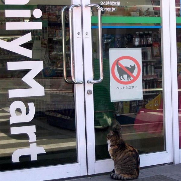daily picdump 95 pics 24.html - 95 HD Photos | Premium Gallery 2011