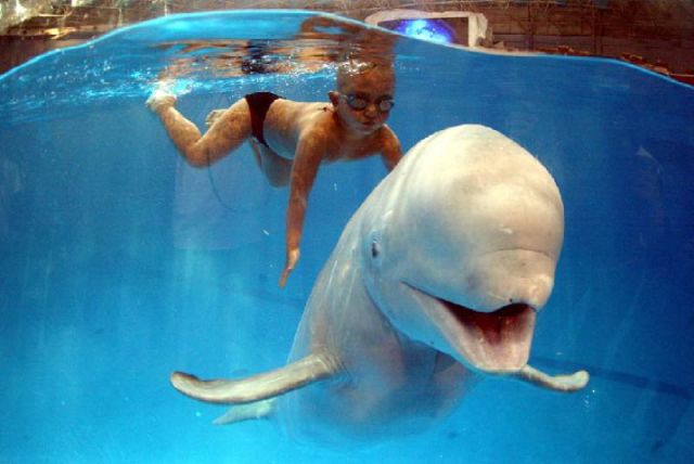 daily picdump 95 pics 24.html - 95 HD Photos | Premium Gallery 2011