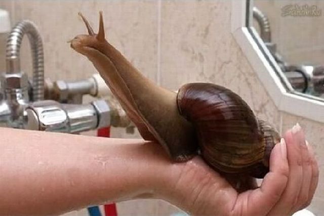 morning picdump 67 pics 30.html - 67 HD Photos | Premium Gallery 2011