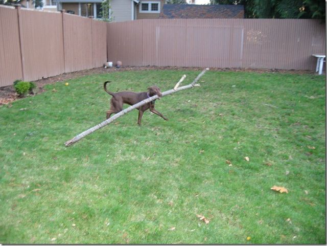 morning picdump 67 pics 30.html - 67 HD Photos | Premium Gallery 2011