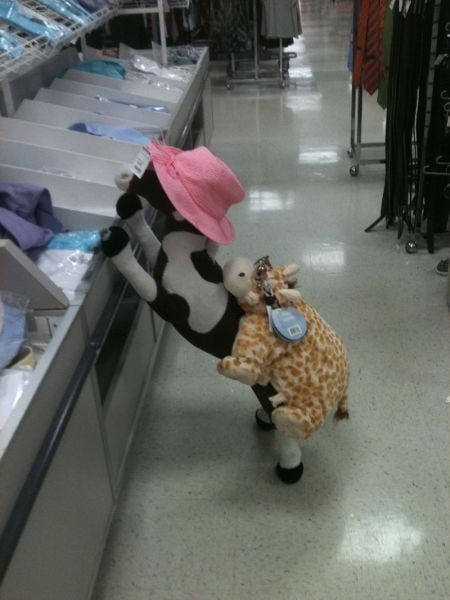 morning picdump 67 pics 30.html - 67 HD Photos | Premium Gallery 2011