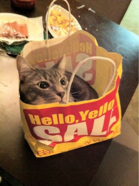 morning picdump 67 pics 30.html - 67 HD Photos | Premium Gallery 2011