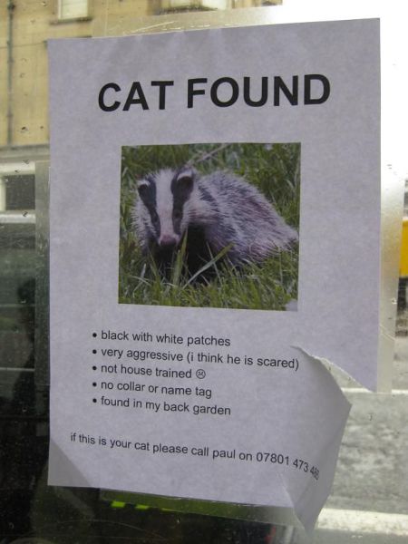 morning picdump 71 pics 15.html - 71 HD Photos | Premium Gallery 2011