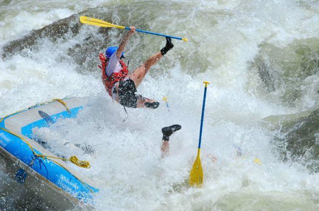 Hilarious Photos Taken at the Perfect Time