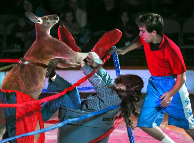 Hilarious Photos Taken at the Perfect Time