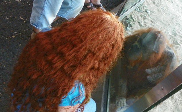 Hilarious Photos Taken at the Perfect Time