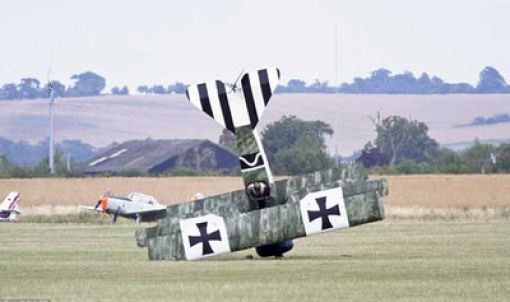 Hilarious Photos Taken at the Perfect Time