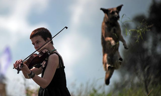 Hilarious Photos Taken at the Perfect Time