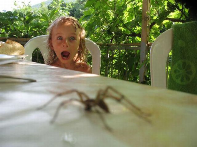 Hilarious Photos Taken at the Perfect Time