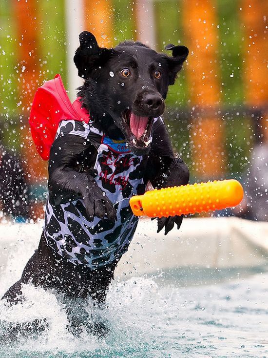 Hilarious Photos Taken at the Perfect Time