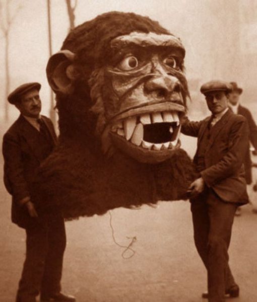 morning picdump 55 pics 21.html - 55 HD Photos | Premium Gallery 2011