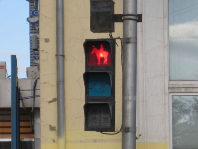 morning picdump 55 pics 21.html - 55 HD Photos | Premium Gallery 2011