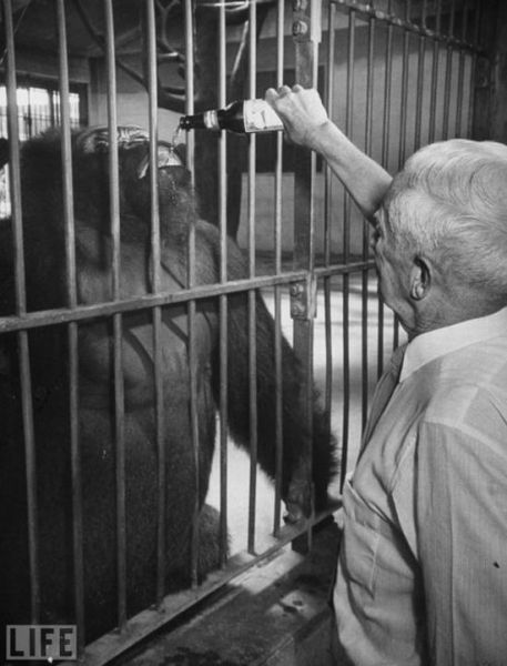 morning picdump 55 pics 21.html - 55 HD Photos | Premium Gallery 2011