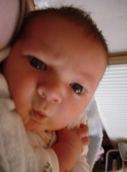 morning picdump 55 pics 21.html - 55 HD Photos | Premium Gallery 2011