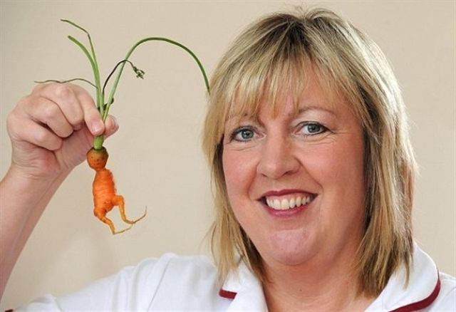 morning picdump 55 pics 21.html - 55 HD Photos | Premium Gallery 2011