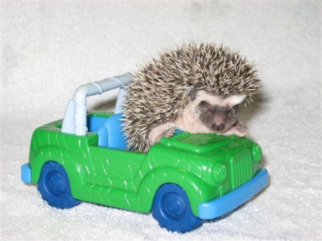 morning picdump 55 pics 21.html - 55 HD Photos | Premium Gallery 2011