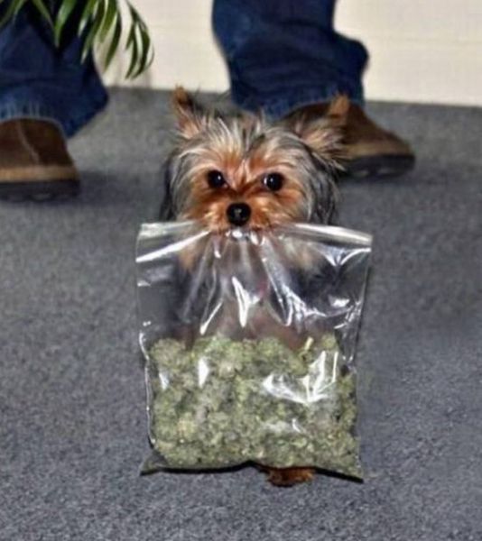 morning picdump 67 pics 20.html - 67 HD Photos | Premium Gallery 2011