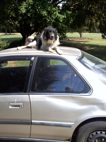 morning picdump 67 pics 20.html - 67 HD Photos | Premium Gallery 2011