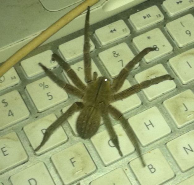 morning picdump 67 pics 20.html - 67 HD Photos | Premium Gallery 2011