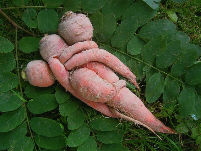 morning picdump 67 pics 20.html - 67 HD Photos | Premium Gallery 2011